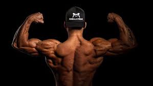 Bodybuilding Supplement Franchise In India